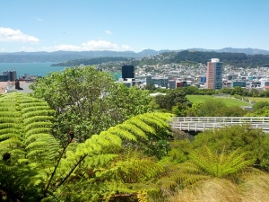 Wellington from top of the cable car, Wellington Botanical Gardens