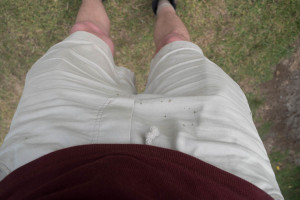 Only now did I realise mud splatter from a bike ride before I left Wellington had me looking like I'd pissed myself the whole trip