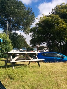 My $30 harbour views in Takapuna