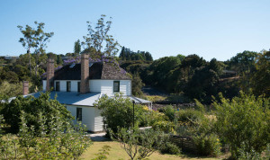 Kemp House Orchard. Across the river you might just be able to make out two Maori dudes who were practicing their skills with the Tiaha.