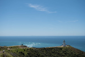 Cape Reinga. You can just make out the Three King Islands on the horizon, where the spirits pop up for one final look before heading to Hawaiki.