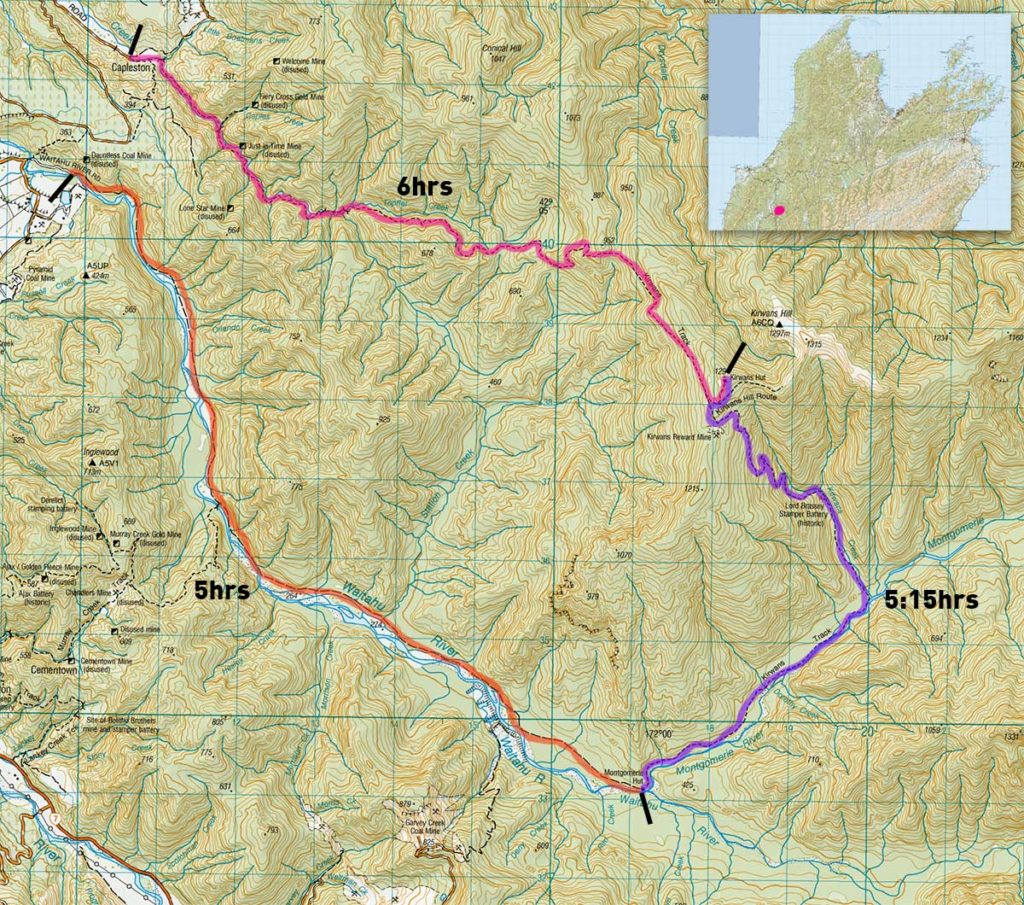 Tramping: Kirwans Track loop, Victoria Forest Park - Leisure Life Larry