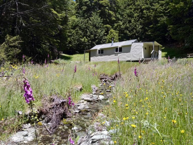 Tramping Lake Chalice, Mount Richmond Forest Park Leisure Life Larry